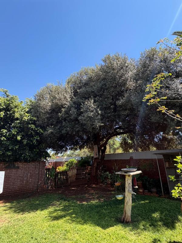 3 Bedroom Property for Sale in Mokopane Limpopo
