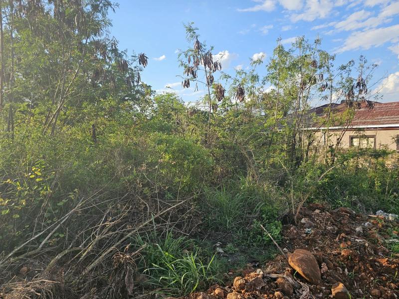 0 Bedroom Property for Sale in Thohoyandou Limpopo