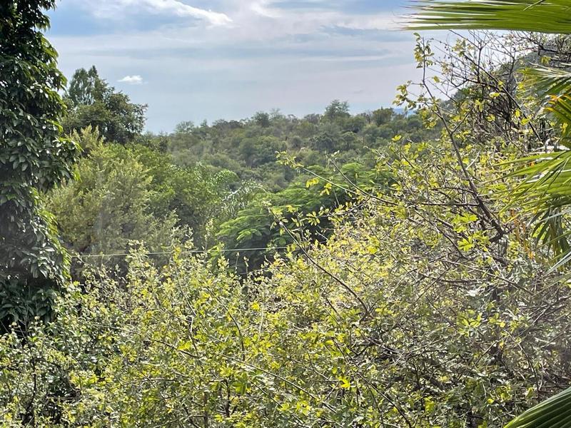 4 Bedroom Property for Sale in Thabazimbi Limpopo