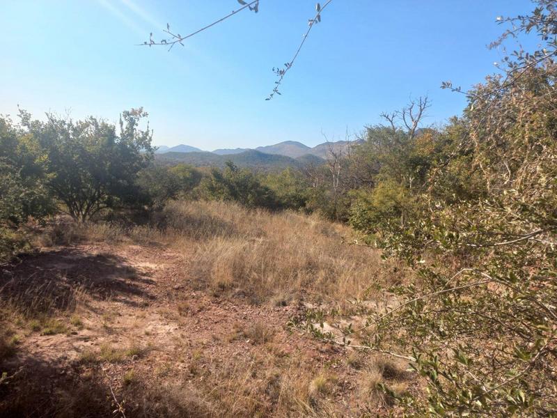 0 Bedroom Property for Sale in Thabazimbi Limpopo