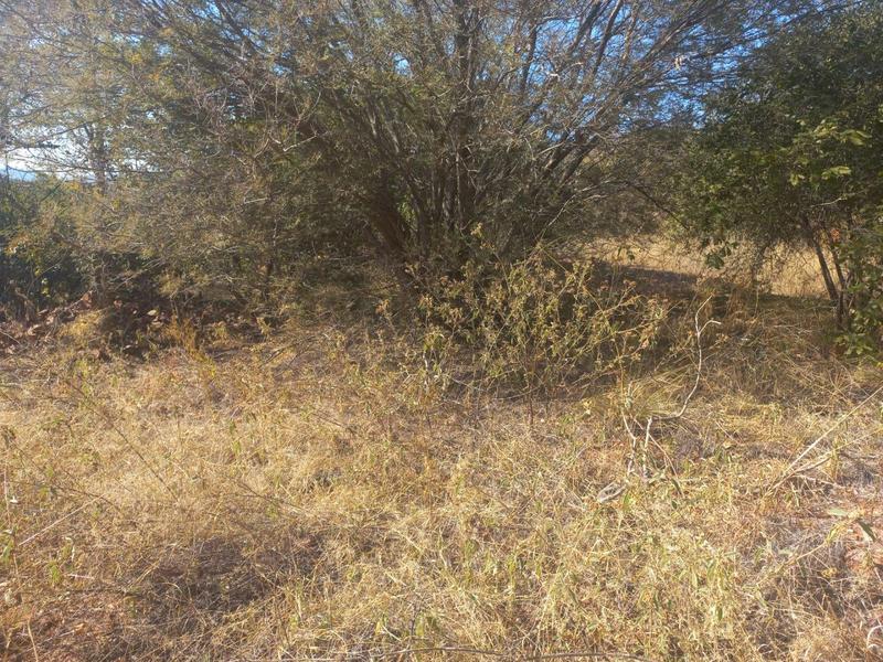 0 Bedroom Property for Sale in Thabazimbi Limpopo