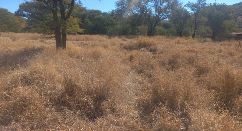 0 Bedroom Property for Sale in Thabazimbi Limpopo