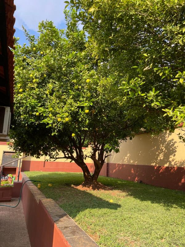 3 Bedroom Property for Sale in Thabazimbi Limpopo