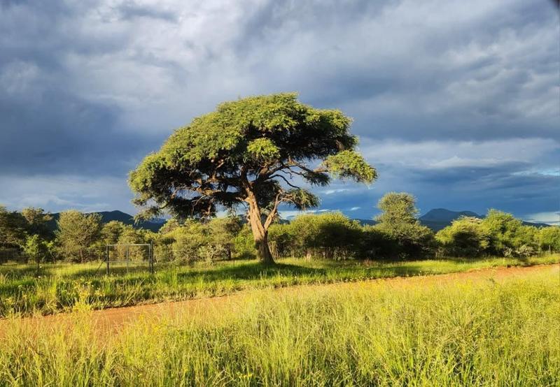 15 Bedroom Property for Sale in Thabazimbi Limpopo