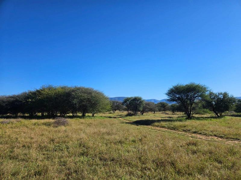 15 Bedroom Property for Sale in Thabazimbi Limpopo