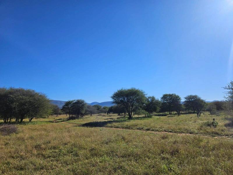15 Bedroom Property for Sale in Thabazimbi Limpopo