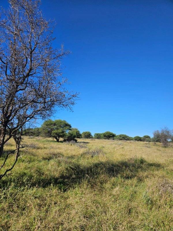 15 Bedroom Property for Sale in Thabazimbi Limpopo