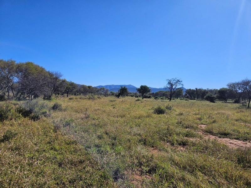 15 Bedroom Property for Sale in Thabazimbi Limpopo