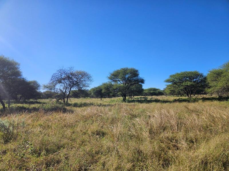 15 Bedroom Property for Sale in Thabazimbi Limpopo