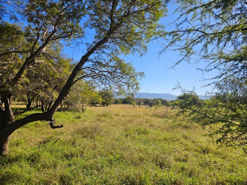 15 Bedroom Property for Sale in Thabazimbi Limpopo