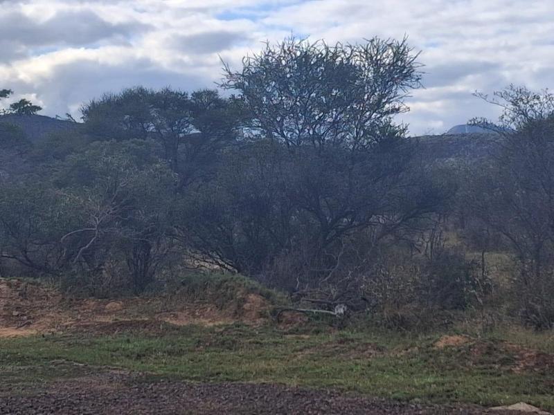 3 Bedroom Property for Sale in Thabazimbi Limpopo