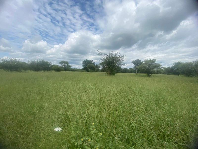 3 Bedroom Property for Sale in Thabazimbi Limpopo