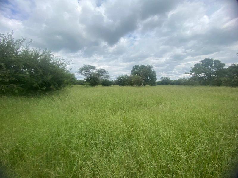 3 Bedroom Property for Sale in Thabazimbi Limpopo