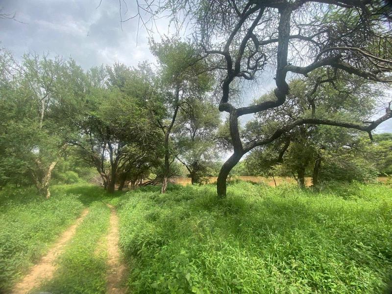 3 Bedroom Property for Sale in Thabazimbi Limpopo