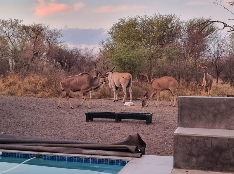 5 Bedroom Property for Sale in Thabazimbi Limpopo