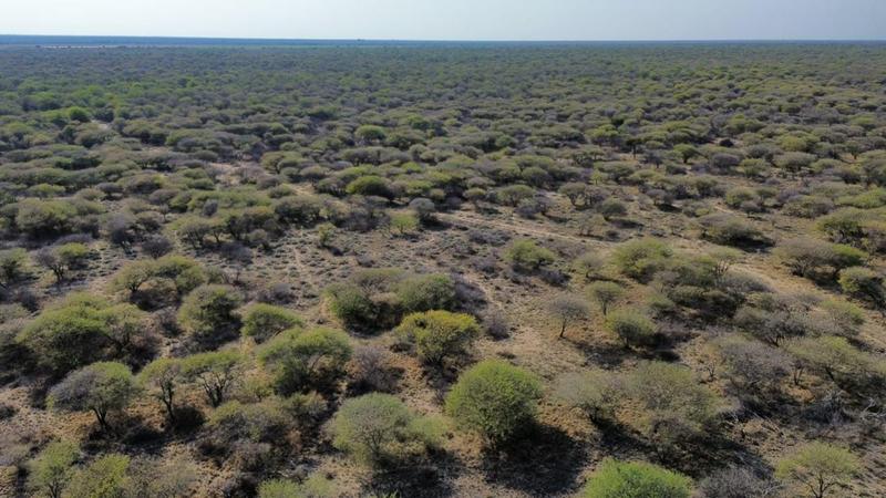 3 Bedroom Property for Sale in Dwaalboom Limpopo