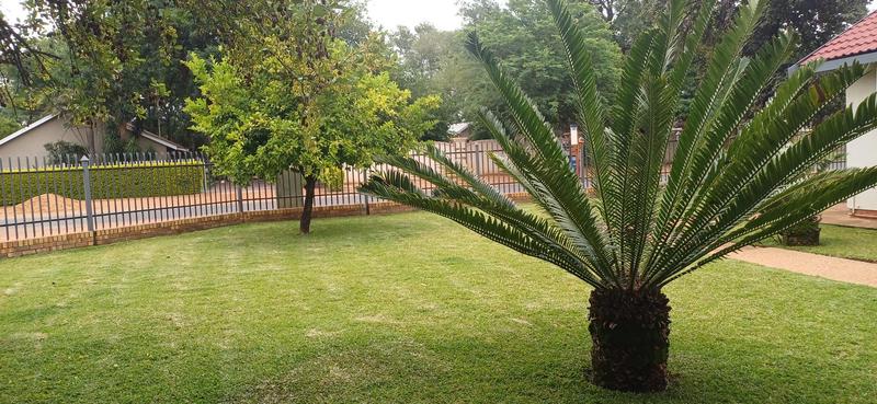 4 Bedroom Property for Sale in Lephalale Limpopo