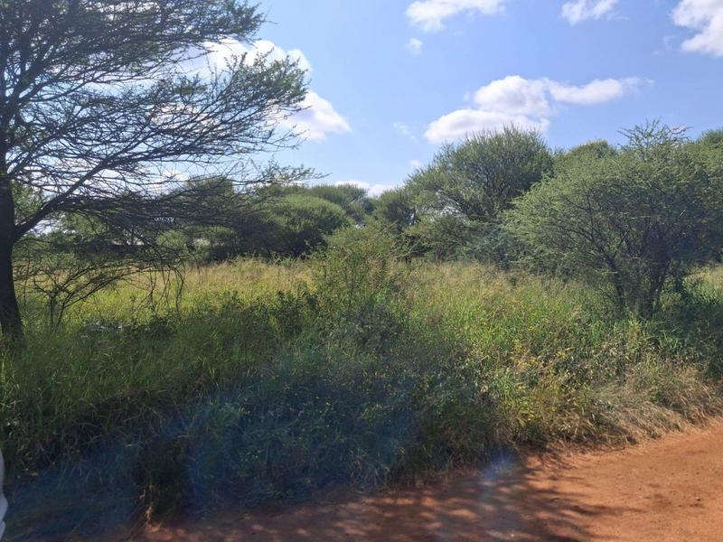 0 Bedroom Property for Sale in Thabazimbi Limpopo