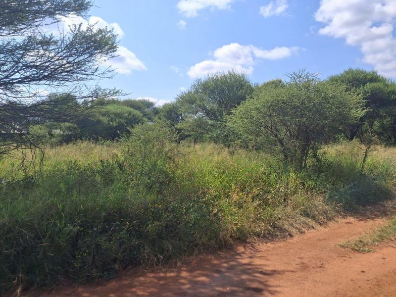 0 Bedroom Property for Sale in Thabazimbi Limpopo