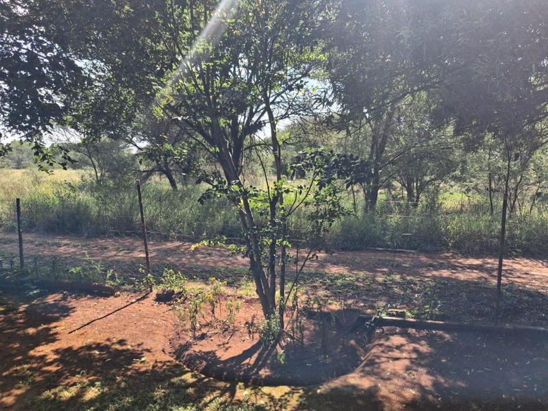 0 Bedroom Property for Sale in Thabazimbi Limpopo