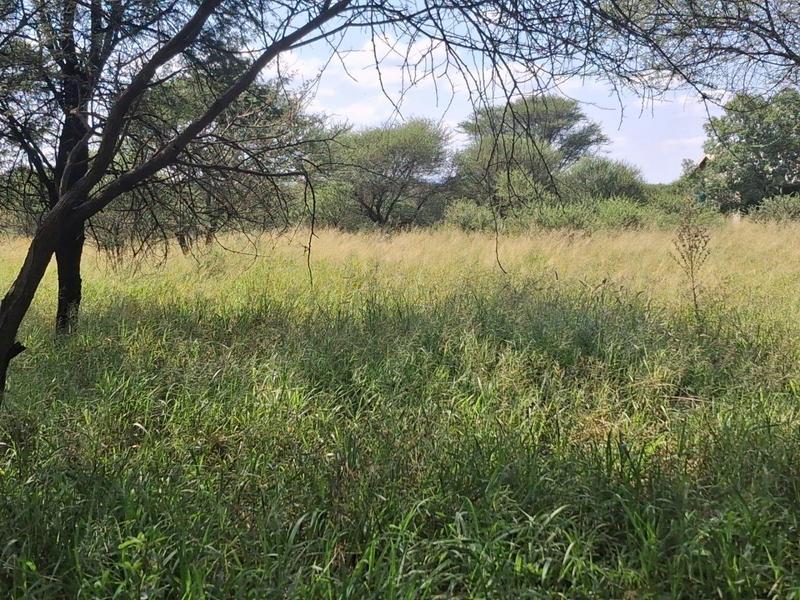 0 Bedroom Property for Sale in Thabazimbi Limpopo