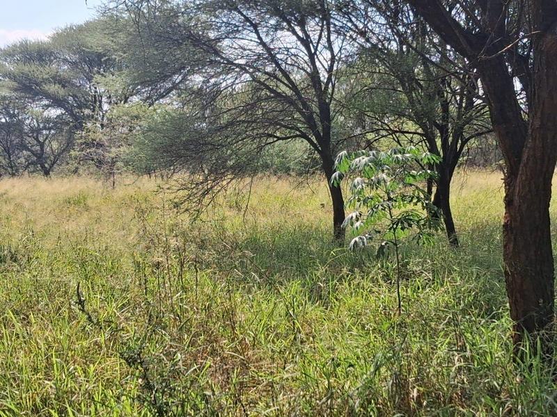 0 Bedroom Property for Sale in Thabazimbi Limpopo