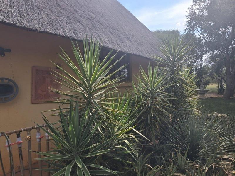 3 Bedroom Property for Sale in Thabazimbi Limpopo