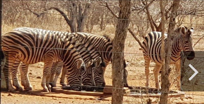 3 Bedroom Property for Sale in Thabazimbi Limpopo