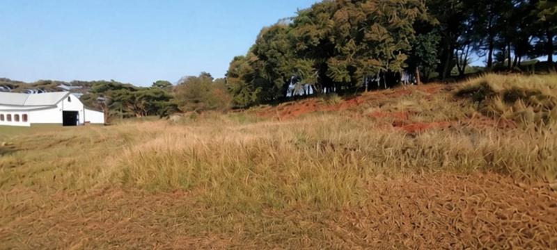 0 Bedroom Property for Sale in Doornhoek Equestrian Estate Limpopo