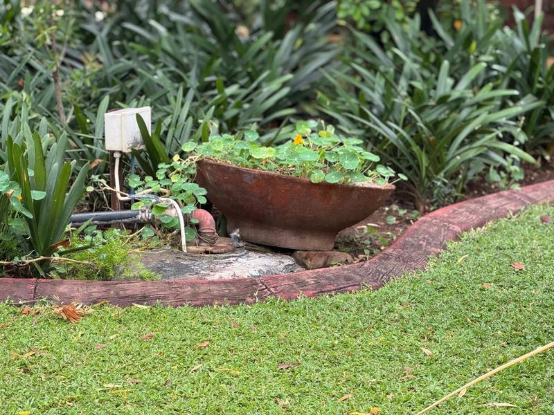4 Bedroom Property for Sale in Thabazimbi Limpopo