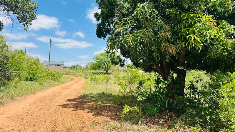 0 Bedroom Property for Sale in Mangondi Limpopo