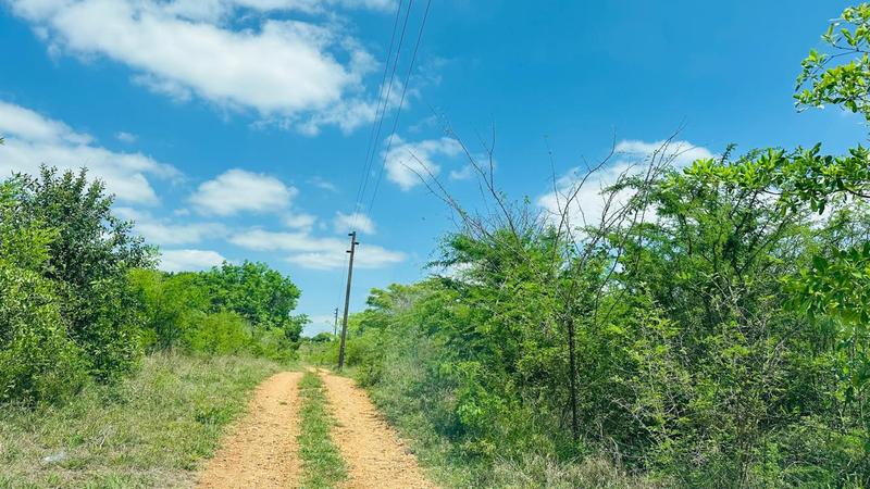 0 Bedroom Property for Sale in Mangondi Limpopo