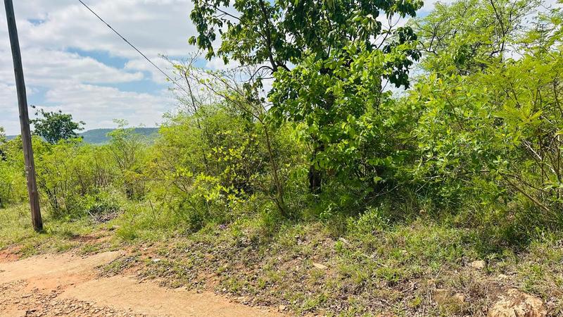 0 Bedroom Property for Sale in Mangondi Limpopo