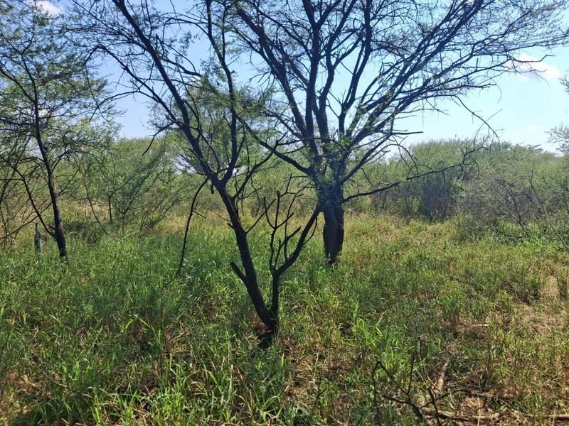 0 Bedroom Property for Sale in Northam Limpopo