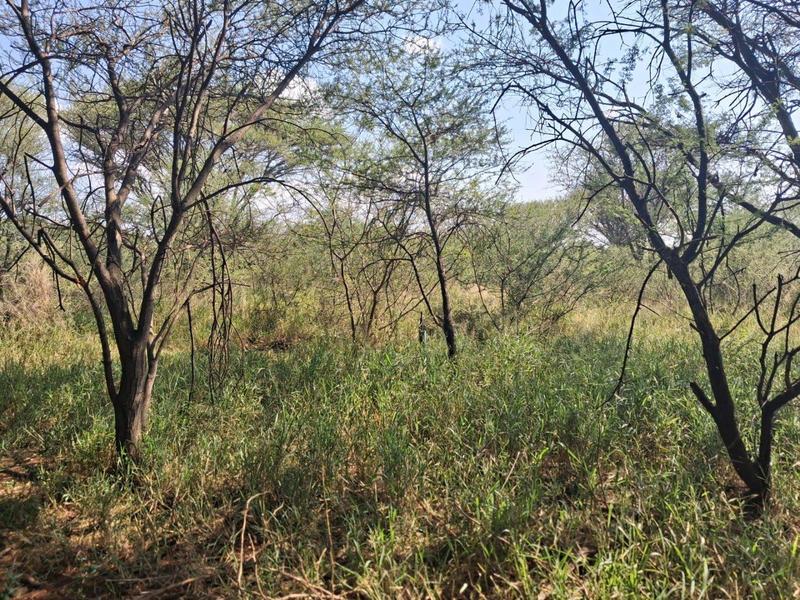 0 Bedroom Property for Sale in Northam Limpopo