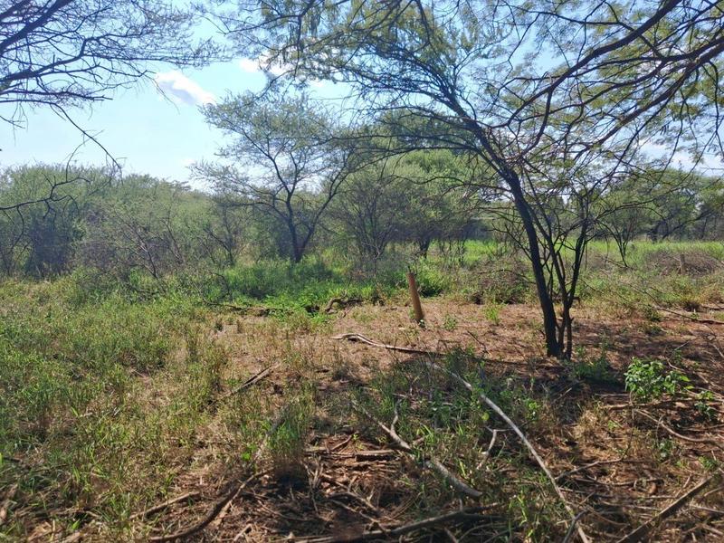 0 Bedroom Property for Sale in Northam Limpopo