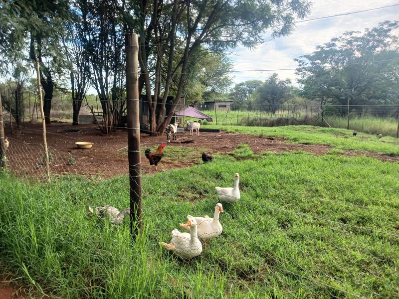 0 Bedroom Property for Sale in Northam Limpopo
