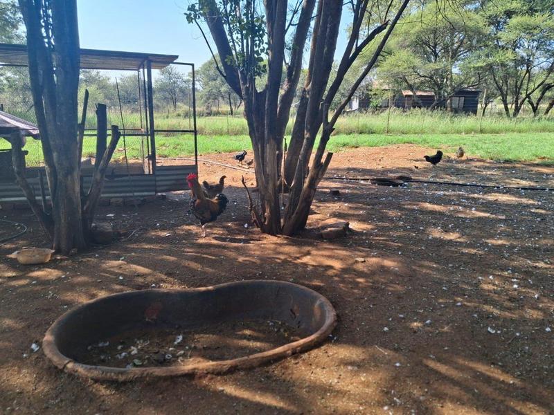 0 Bedroom Property for Sale in Northam Limpopo