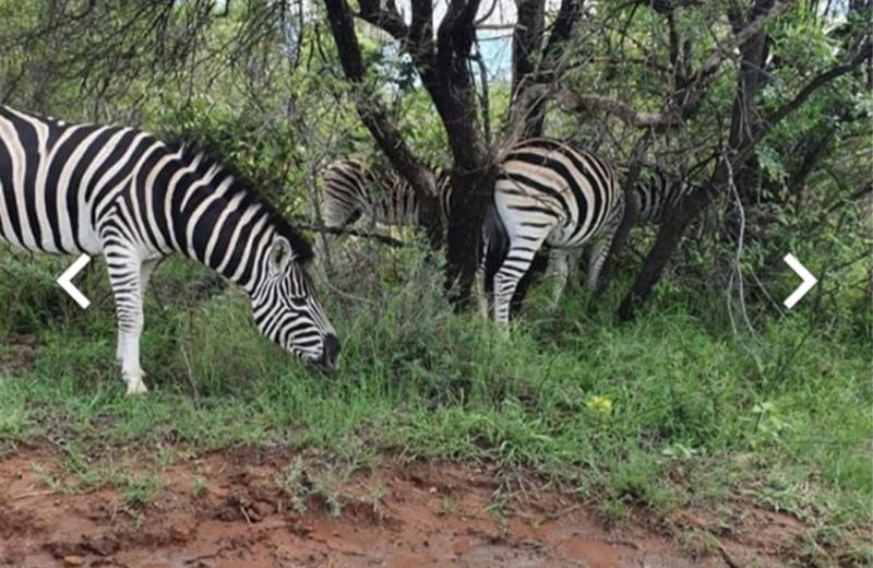 6 Bedroom Property for Sale in Northam Limpopo