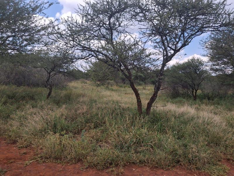 0 Bedroom Property for Sale in Northam Limpopo
