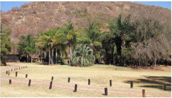 3 Bedroom Property for Sale in Groblersdal Limpopo