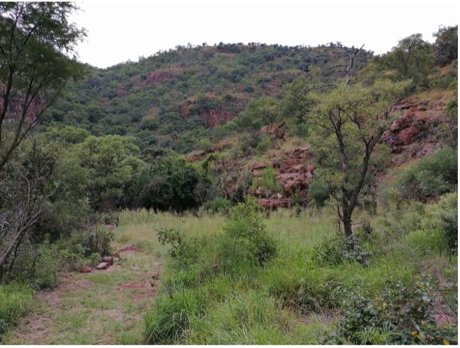 3 Bedroom Property for Sale in Groblersdal Limpopo