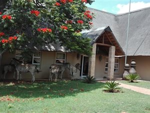 5 Bedroom Property for Sale in Vaalwater Limpopo