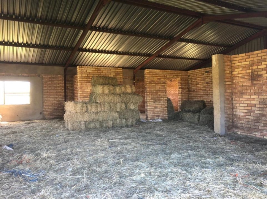 0 Bedroom Property for Sale in Leeupoort Limpopo