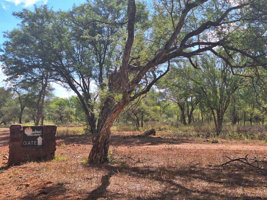 0 Bedroom Property for Sale in Thabazimbi Limpopo