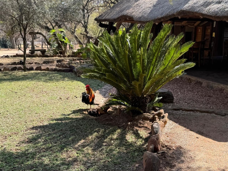 0 Bedroom Property for Sale in Waterberg Limpopo