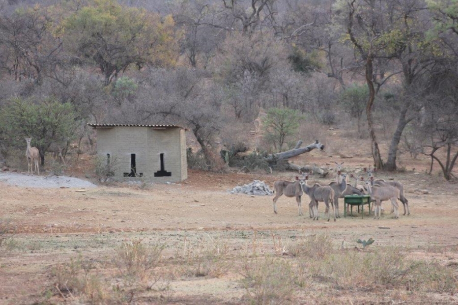 0 Bedroom Property for Sale in Ohrigstad Limpopo