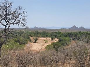 0 Bedroom Property for Sale in Elephant Rock Eco Estate Limpopo