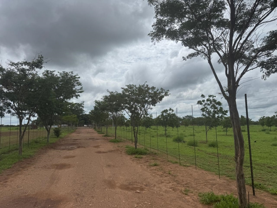 0 Bedroom Property for Sale in Roedtan Limpopo