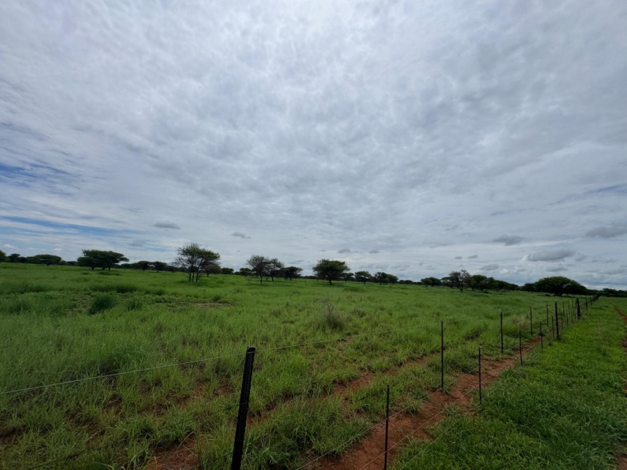 0 Bedroom Property for Sale in Roedtan Limpopo